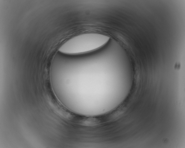 X0000113210459200909100951