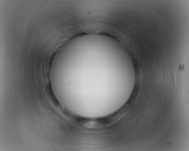 X0000113210460200909100951