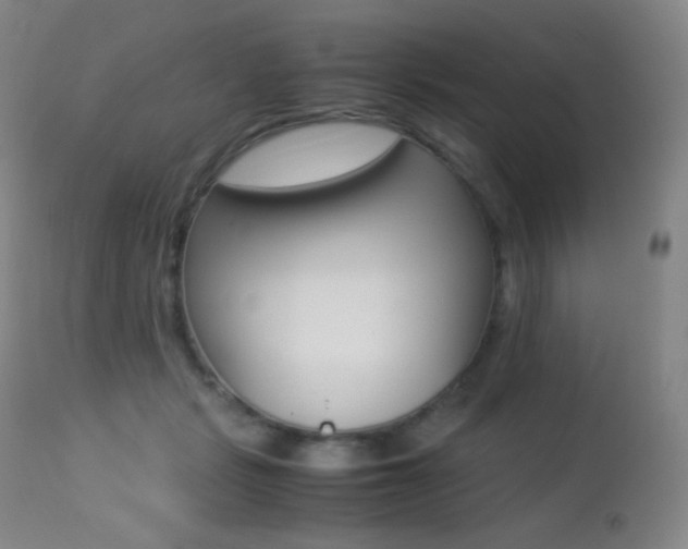 X0000113210461200909100951