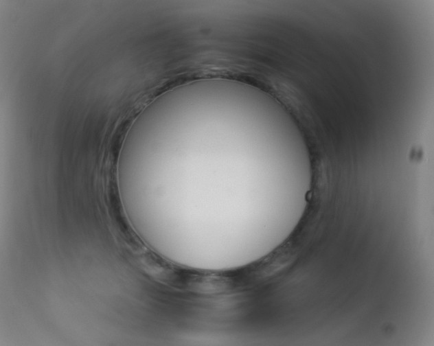 X0000113210463200909100951