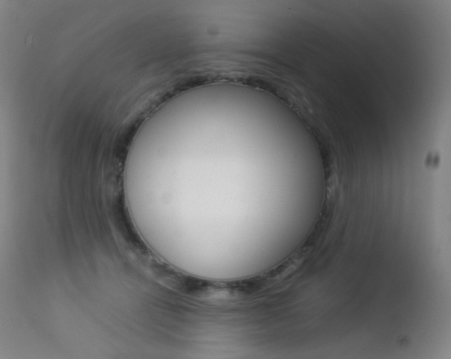 X0000113210464200909100951