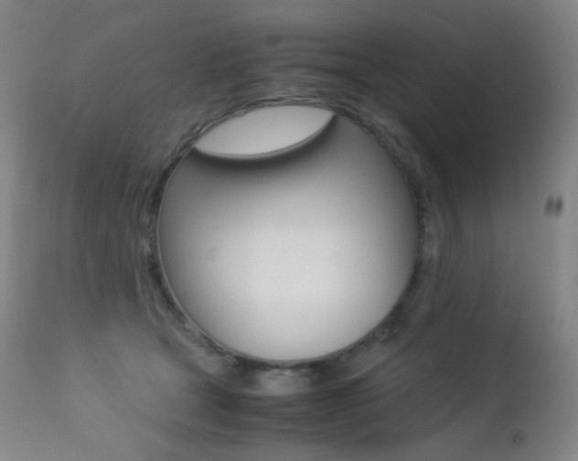 X0000113210465200909100951