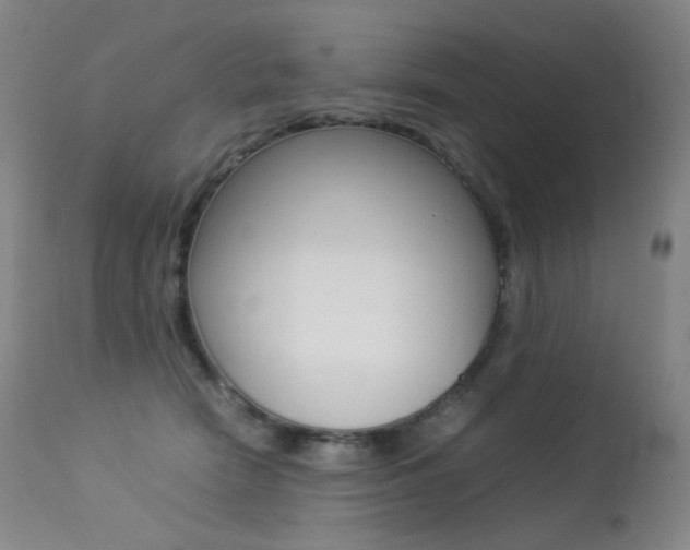 X0000113210466200909100951