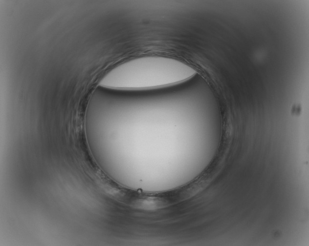X0000113210467200909100951