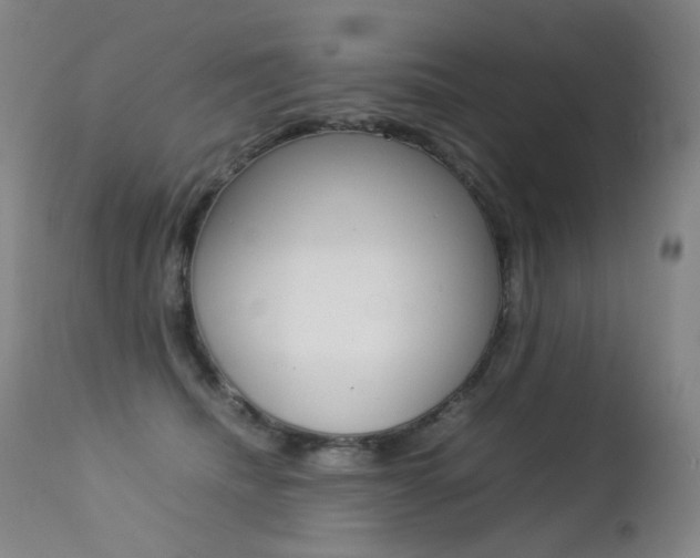 X0000113210468200909100951