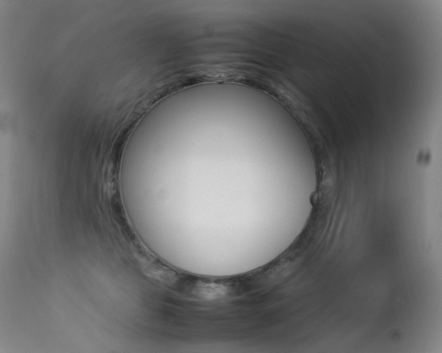 X0000113210469200909100951