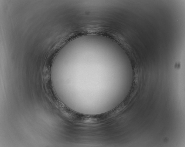 X0000113210471200909100951