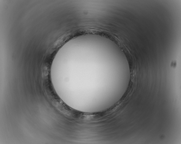 X0000113210472200909100951