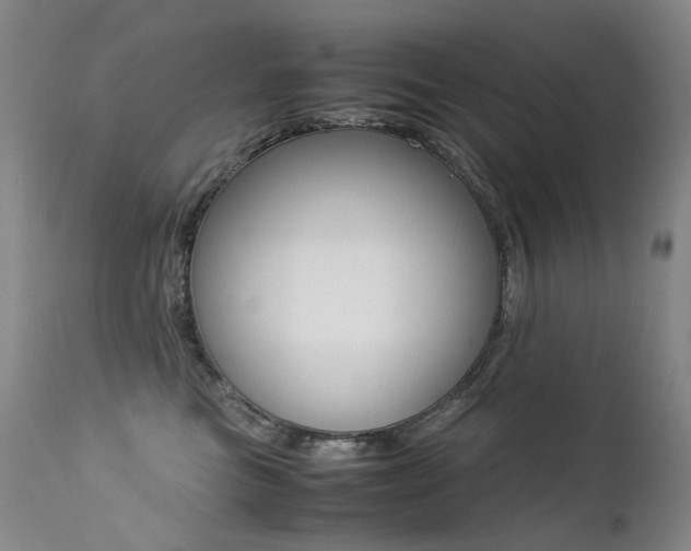 X0000113210473200909100951