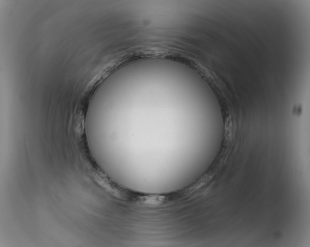 X0000113210474200909100951