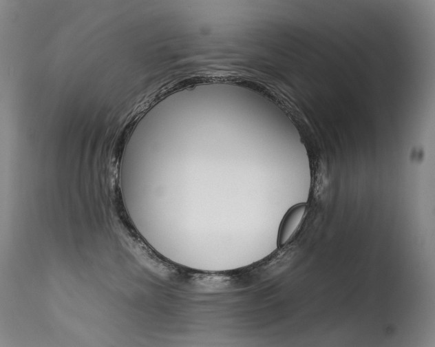 X0000113210476200909100951
