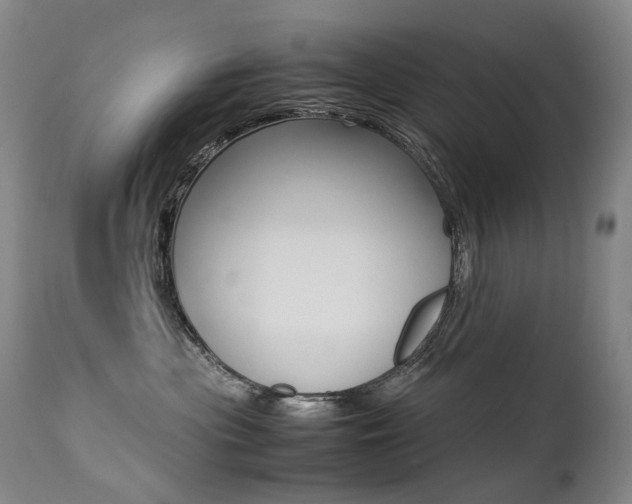 X0000113210477200909100951