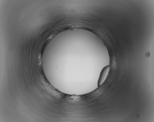 X0000113210478200909100951