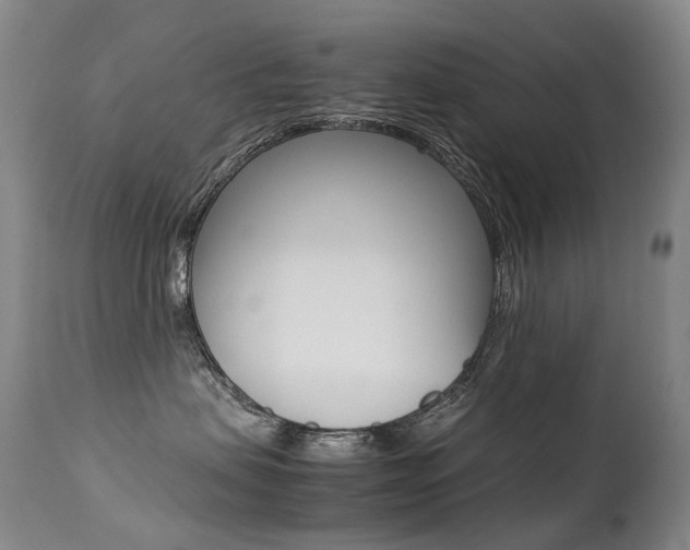 X0000113210479200909100951