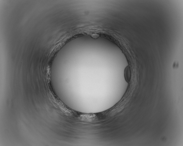 X0000113210480200909100951