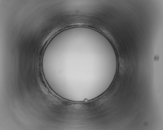 X0000113210482200909100950
