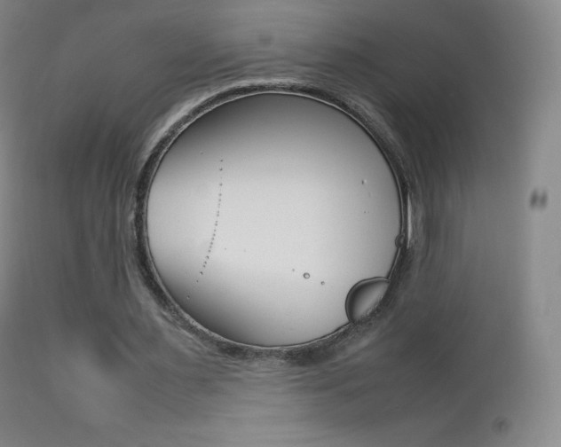 X0000113210483200909100950