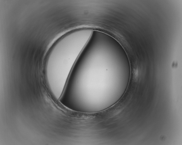 X0000113210484200909100950