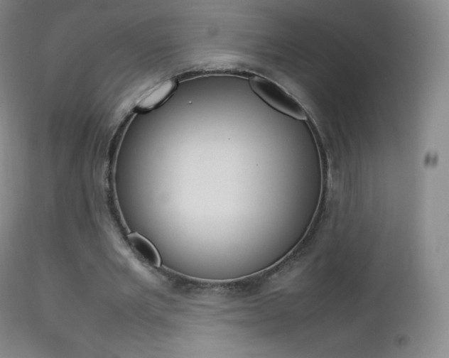 X0000113210485200909100950