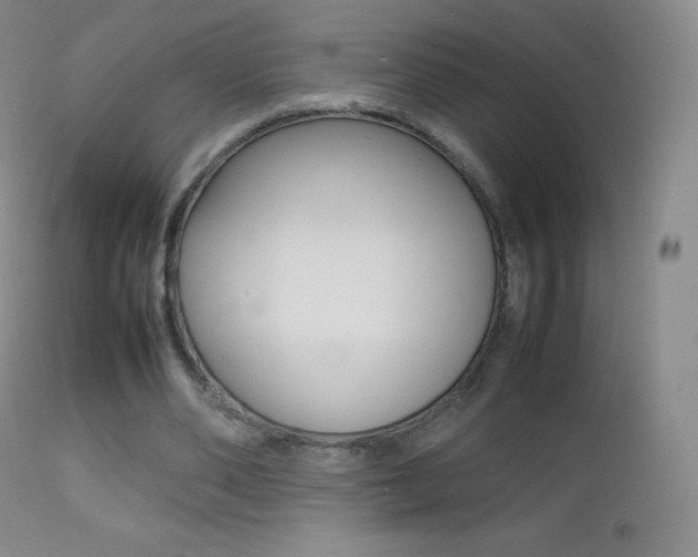 X0000113210486200909100950