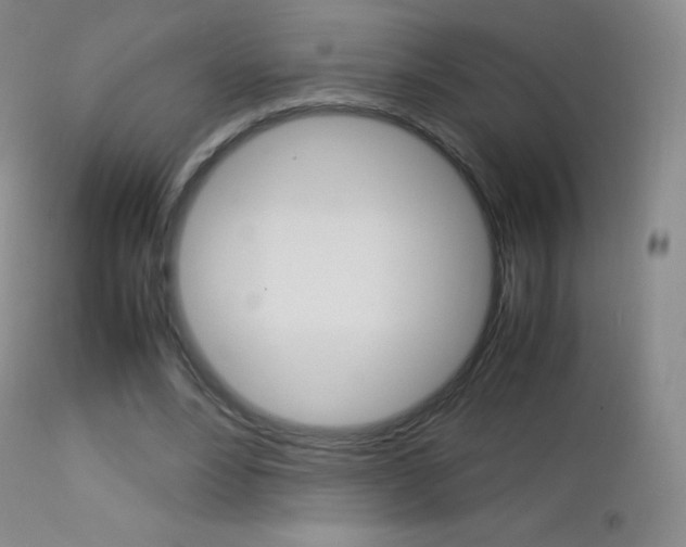 X0000113210488200909100950