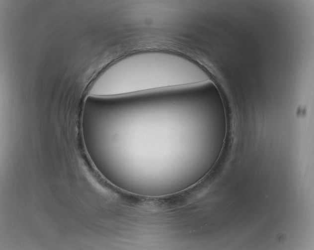 X0000113210489200909100950