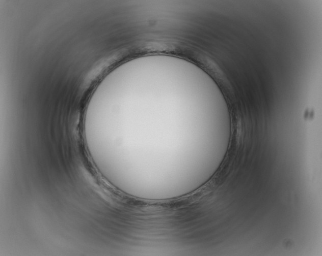 X0000113210490200909100950