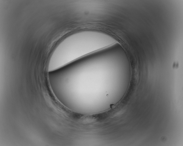 X0000113210491200909100950