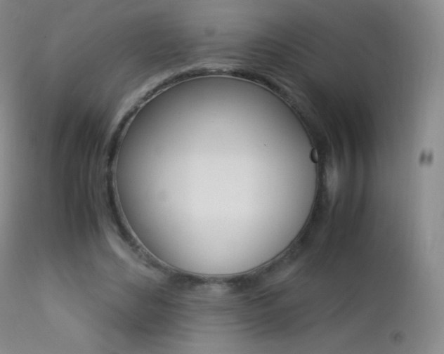 X0000113210492200909100950