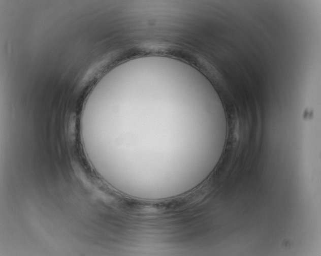 X0000113210494200909100950