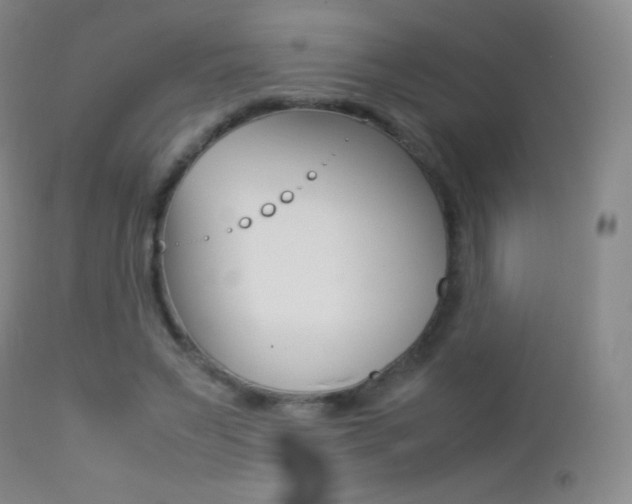 X0000113210495200909100950