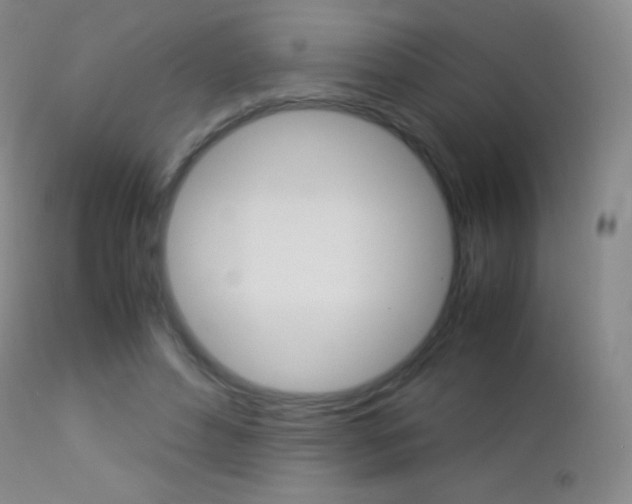 X0000113210496200909100950