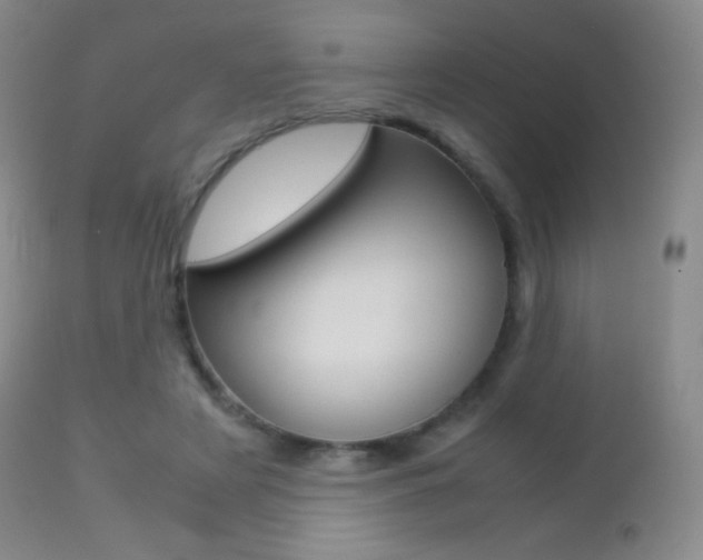 X0000113210497200909100950