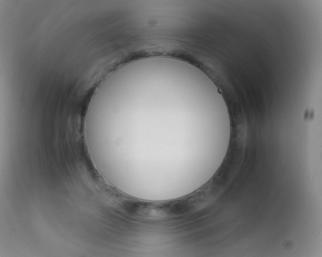X0000113210498200909100950