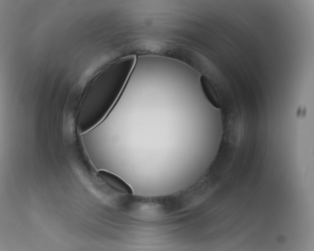 X0000113210500200909100950