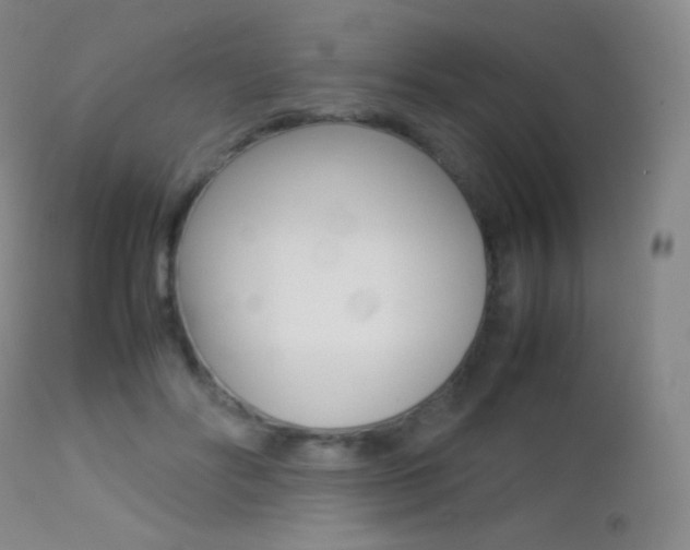 X0000113210502200909100950