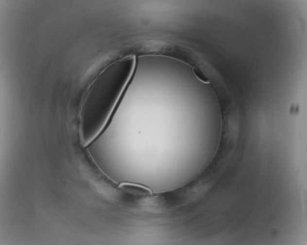 X0000113210505200909100950