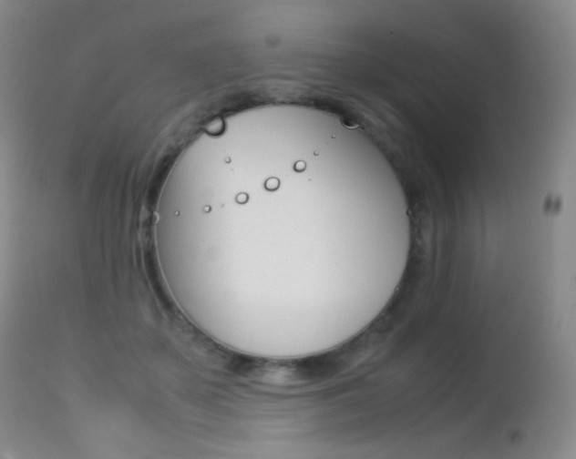X0000113210507200909100950