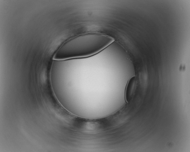X0000113210508200909100950
