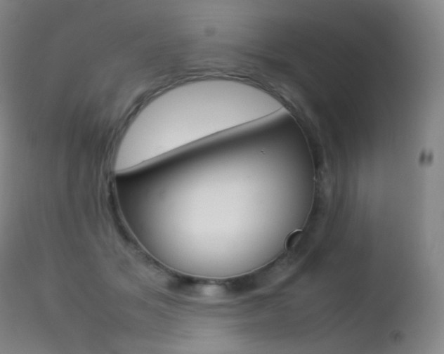 X0000113210509200909100950
