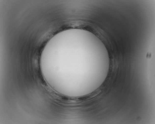 X0000113210510200909100950