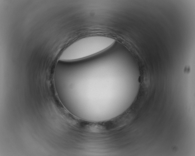 X0000113210512200909100950
