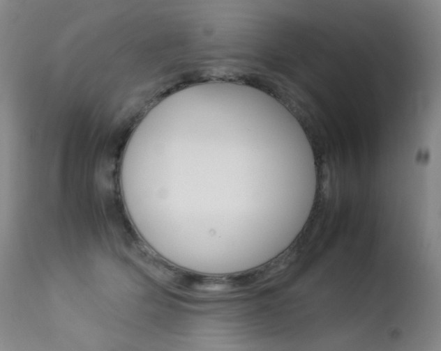 X0000113210514200909100950