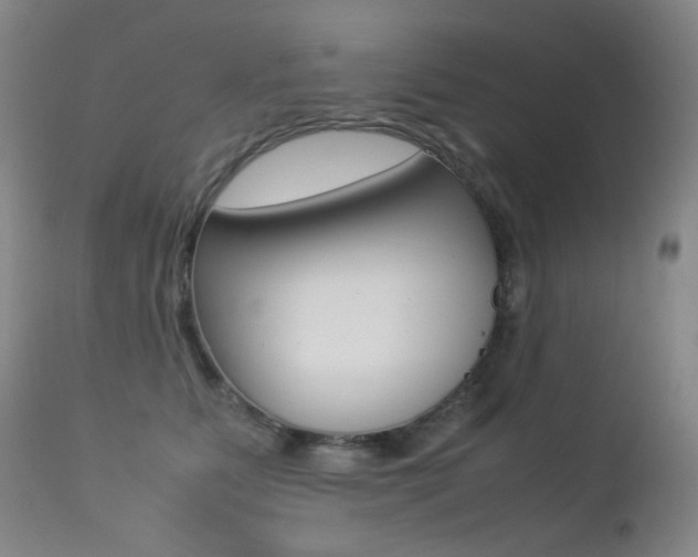 X0000113210515200909100950