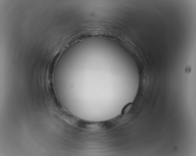 X0000113210516200909100950