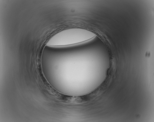 X0000113210517200909100950
