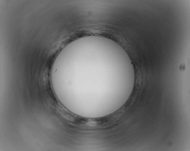 X0000113210518200909100950