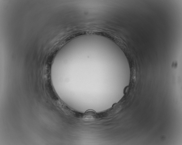 X0000113210519200909100950