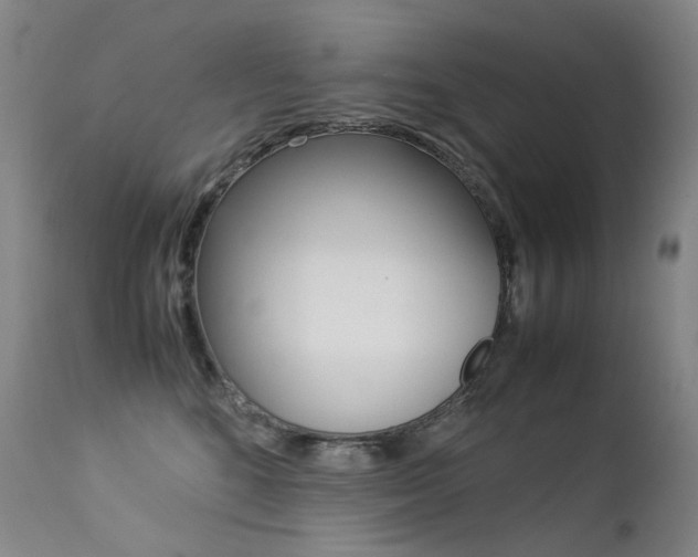 X0000113210520200909100950