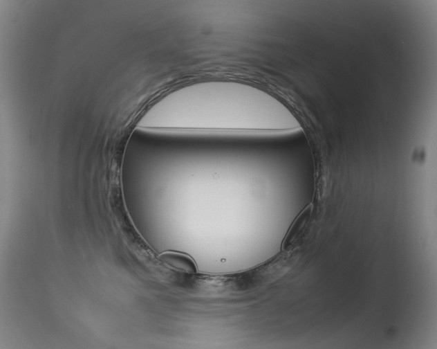 X0000113210521200909100950